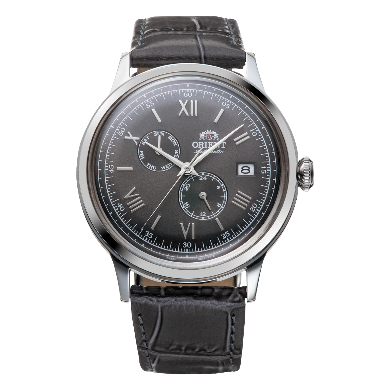 Orient Bambino Automatic Grå